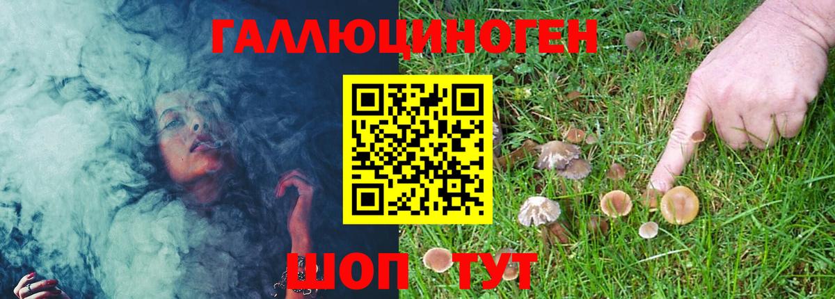 Лосино-Петровский  закладки  Вход с VPN  Псилоцибиновые грибы Psilocybe 